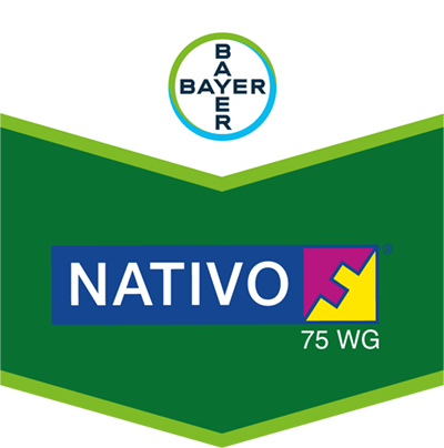 Nativo® 75 WG Nativo® 75 WG