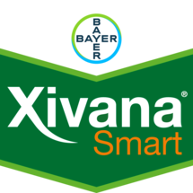 XIVANA® SMART 23 SC