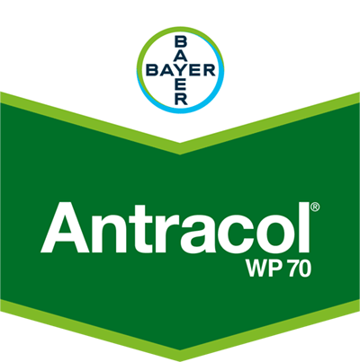 Antracol® WP 70 Antracol® WP 70