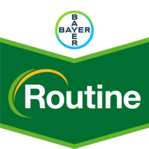 ROUTINE®