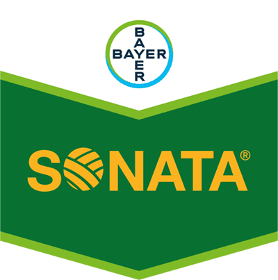 Sonata®