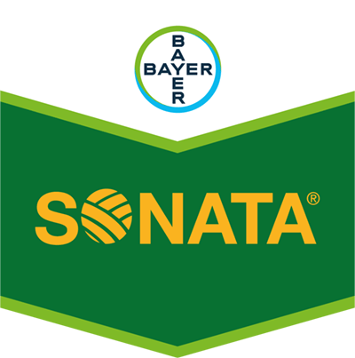 Sonata® Sonata®