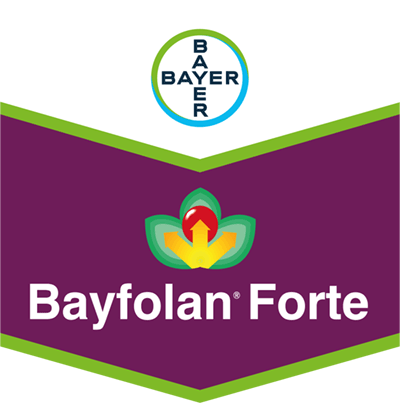 Bayfolan® Forte Bayfolan® Forte