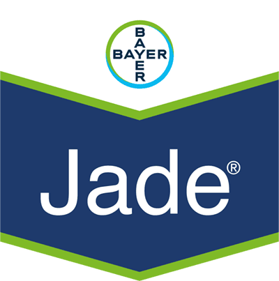 Jade®